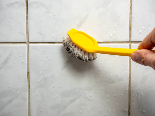 Best Mold Remediation for Specific Building Types in Church Hill, MD