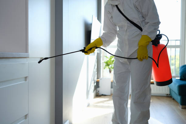 Best Kitchen Mold Remediation in Church Hill, MD