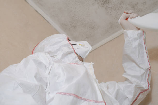 Best Emergency Mold Remediation in Church Hill, MD