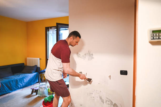 Best Preventive Mold Services in Church Hill, MD